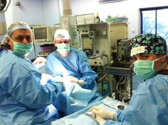 Михаил Колыбелкин — сибирский хирург, который делает бесплатные операции детям по всему миру