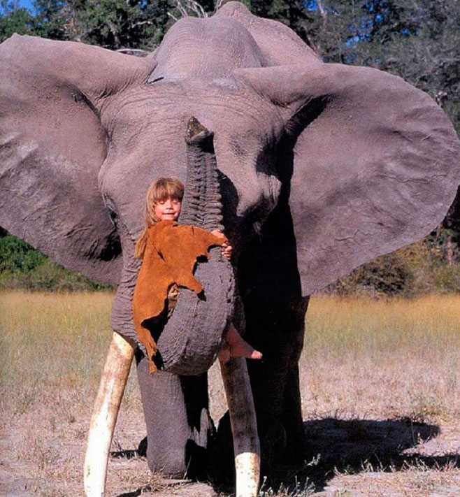 56806 Как сейчас живет девочка-Маугли, которая все детство провела среди слонов и гепардов? Сейчас ей 30 лет