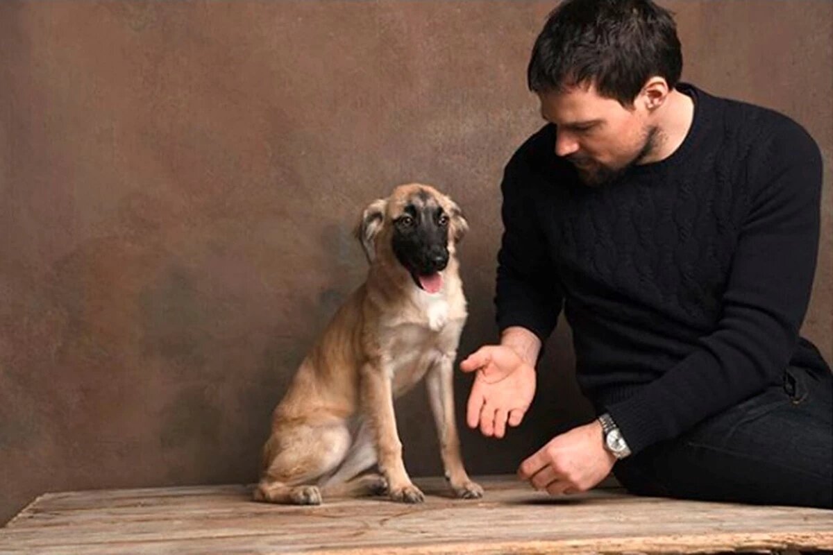 Актер Данила Козловский привез из Грузии щенка, которого нашел на обочине дороги
