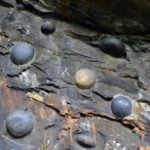 59653 Загадка природы: китайская скала, которая откладывает каменные яйца каждые 30 лет