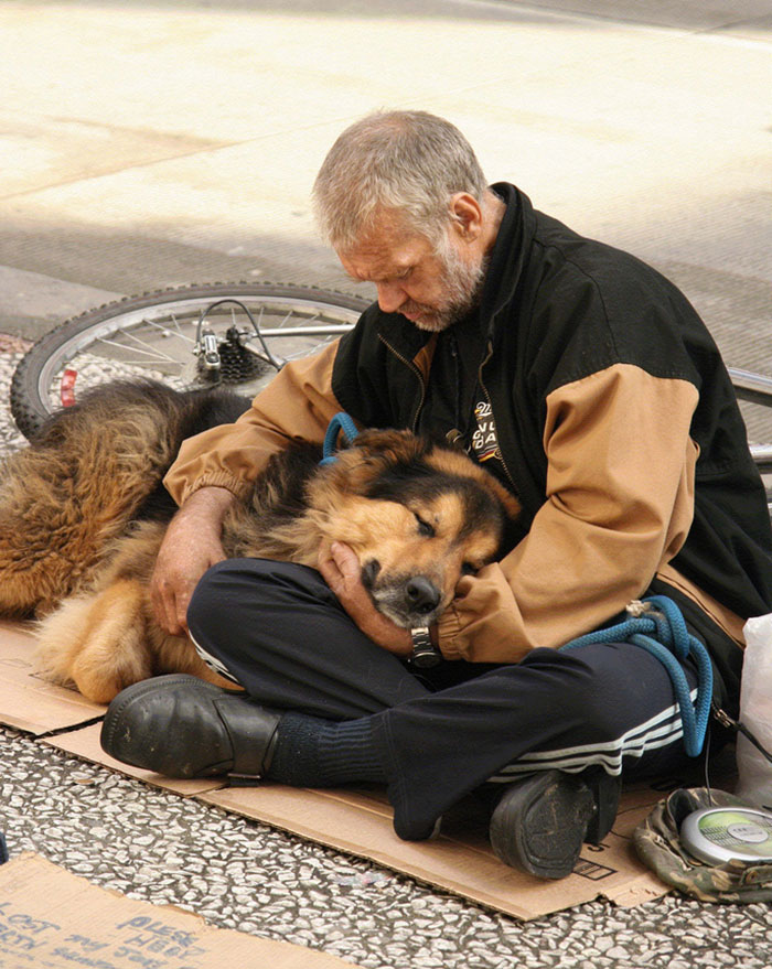 homeless-dogs-unconditional-love-best-friend-33__700