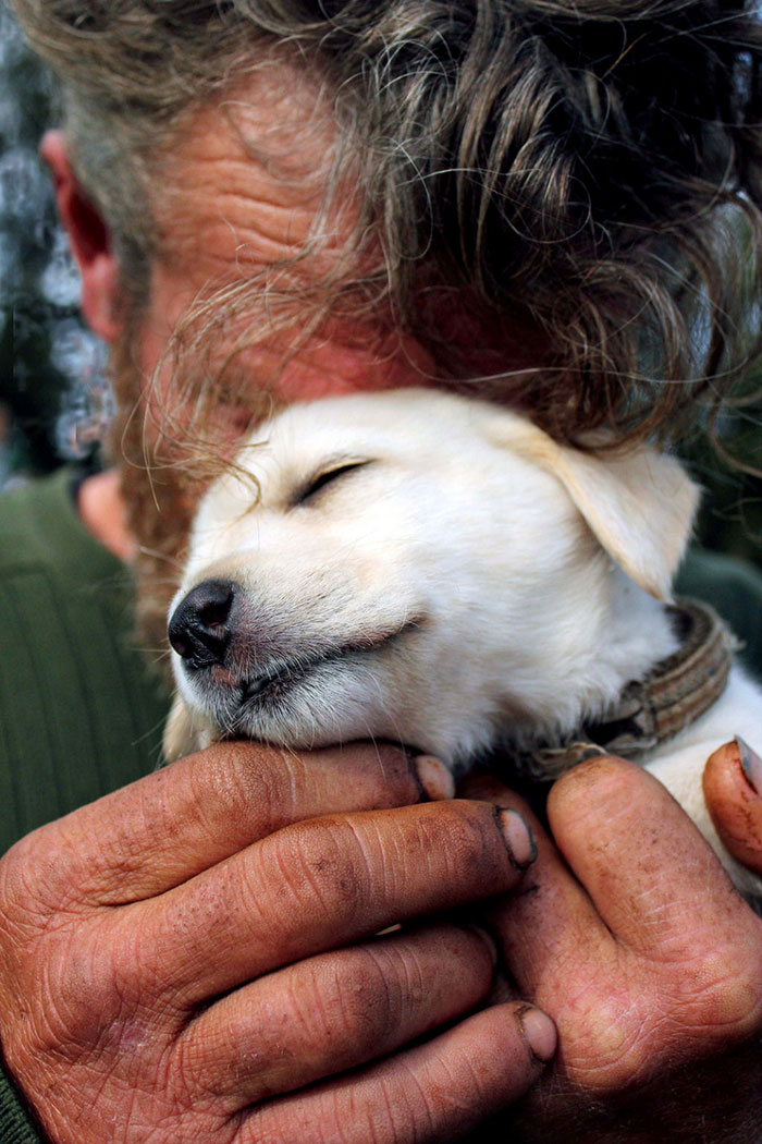 homeless-dogs-unconditional-love-best-friend-50__700