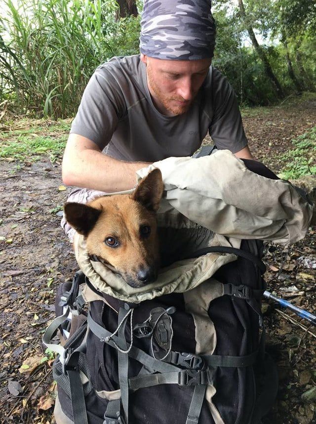 Чтобы спасти раненого пса парень пошел в непроходимые горы