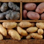 99875 Как правильно хранить картошку в квартире