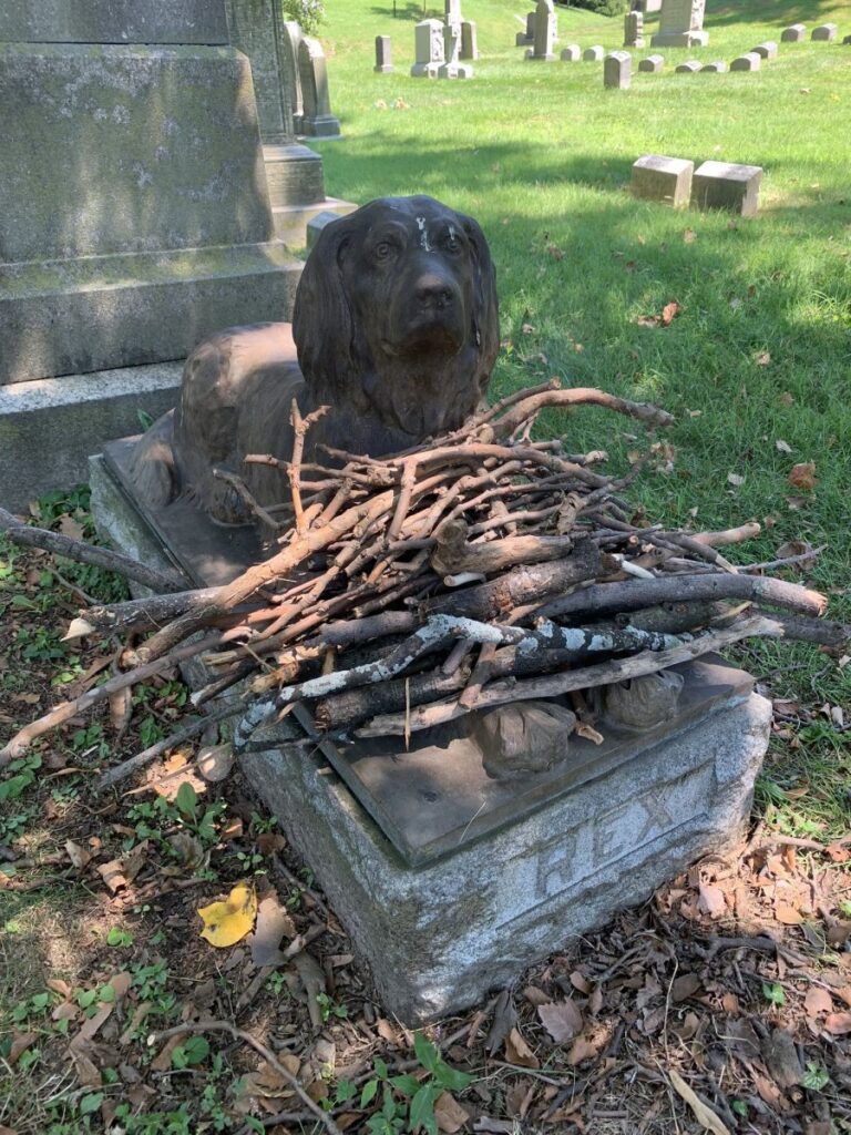 Почему на эту 100-летнюю могилу собаки люди до сих пор кладут палки