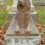 108696 Почему на эту 100-летнюю могилу собаки люди до сих пор кладут палки