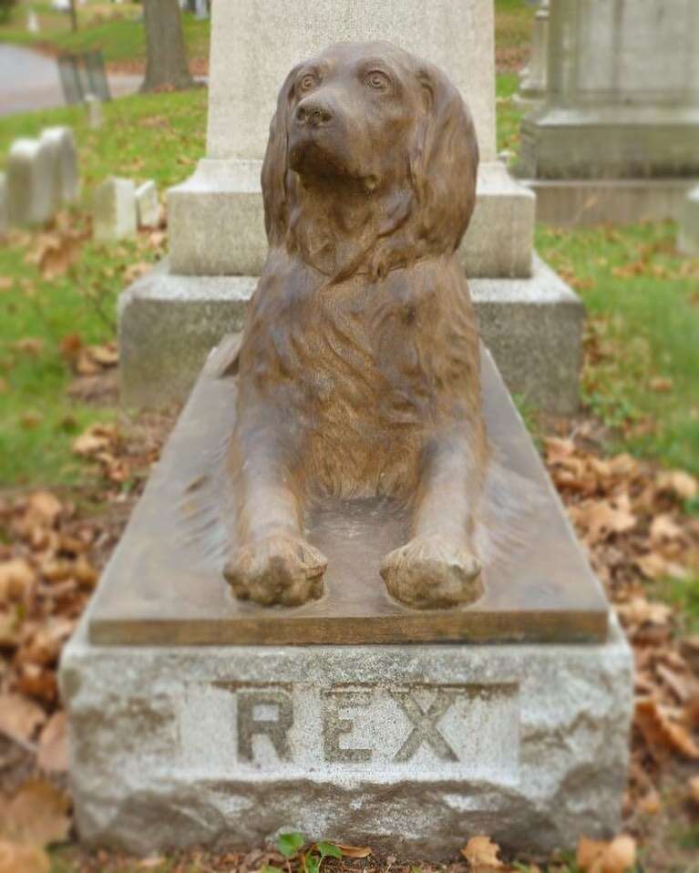 108696 Почему на эту 100-летнюю могилу собаки люди до сих пор кладут палки
