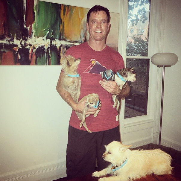 Стив Грейг посвятил свою жизнь спасению престарелых собак, которые не могут найти дом