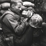 111712 Трогательный кадр: солдат кормит котёнка из пипетки чья мама погибла