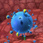 112494 Вирус толкает весь организм приходить в активное состояние — искать смысл жизни