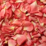 113350 Как изготавливается ткань из лепестков роз